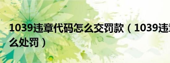 1039违章代码怎么交罚款（1039违章代码怎么处罚）