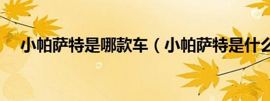 小帕萨特是哪款车（小帕萨特是什么车）