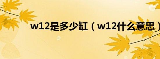 w12是多少缸（w12什么意思）