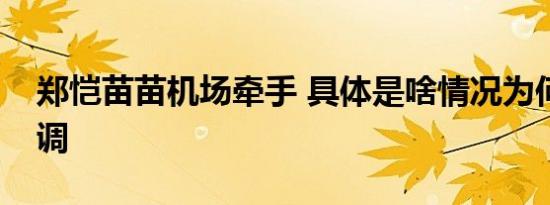 郑恺苗苗机场牵手 具体是啥情况为何如此高调