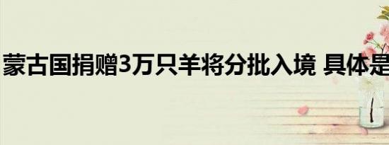蒙古国捐赠3万只羊将分批入境 具体是啥情况