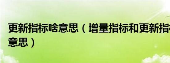 更新指标啥意思（增量指标和更新指标是什么意思）