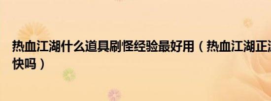 热血江湖什么道具刷怪经验最好用（热血江湖正派刺客刷怪快吗）
