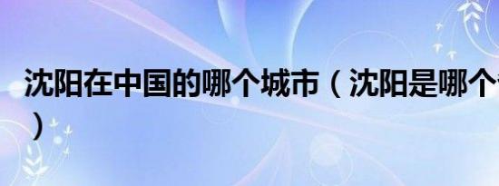 沈阳在中国的哪个城市（沈阳是哪个省的城市）