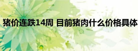 猪价连跌14周 目前猪肉什么价格具体啥情况