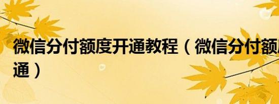 微信分付额度开通教程（微信分付额度如何开通）