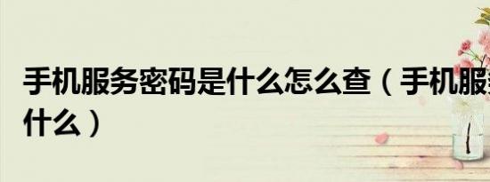 手机服务密码是什么怎么查（手机服务密码是什么）