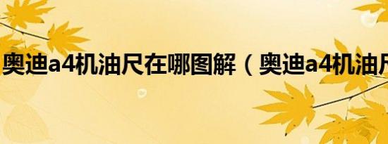 奥迪a4机油尺在哪图解（奥迪a4机油尺在哪）