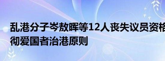 乱港分子岑敖晖等12人丧失议员资格 特区贯彻爱国者治港原则