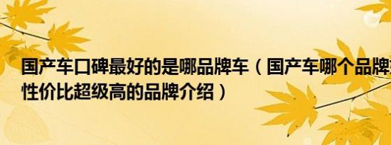 国产车口碑最好的是哪品牌车（国产车哪个品牌好5款口碑性价比超级高的品牌介绍）