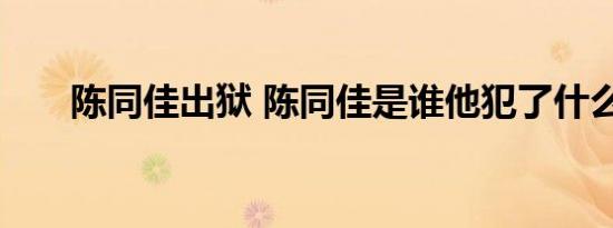 陈同佳出狱 陈同佳是谁他犯了什么法