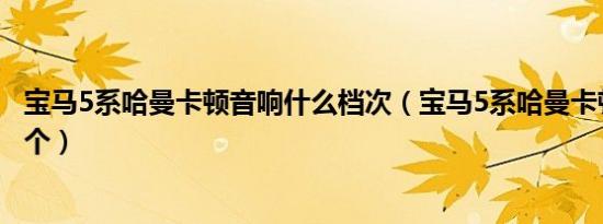宝马5系哈曼卡顿音响什么档次（宝马5系哈曼卡顿音响多少个）