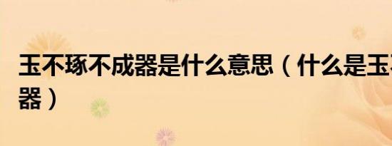 玉不琢不成器是什么意思（什么是玉不琢不成器）