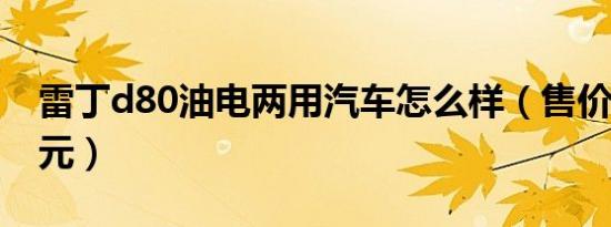 雷丁d80油电两用汽车怎么样（售价仅需2万元）