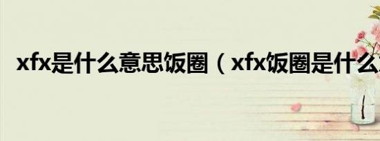 xfx是什么意思饭圈（xfx饭圈是什么意思）