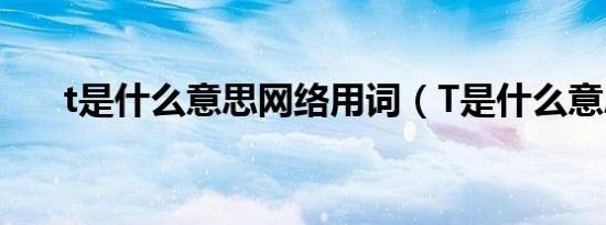 t是什么意思网络用词（T是什么意思）