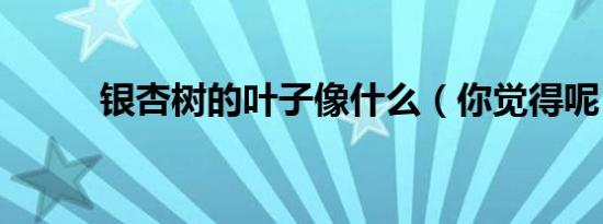 银杏树的叶子像什么（你觉得呢）