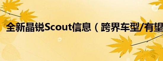 全新晶锐Scout信息（跨界车型/有望引进）