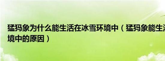 猛犸象为什么能生活在冰雪环境中（猛犸象能生活在冰雪环境中的原因）