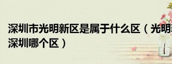 深圳市光明新区是属于什么区（光明新区属于深圳哪个区）