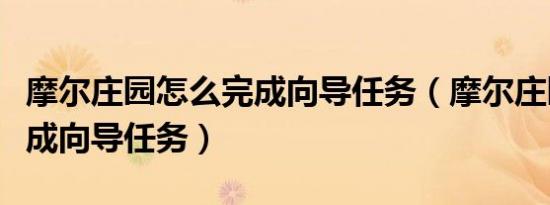 摩尔庄园怎么完成向导任务（摩尔庄园如何完成向导任务）