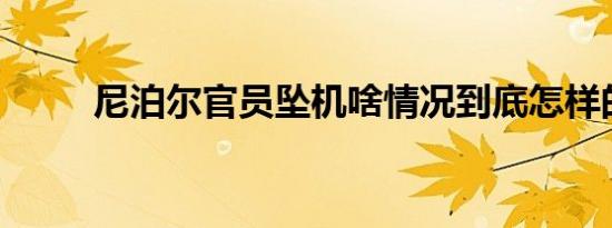尼泊尔官员坠机啥情况到底怎样的