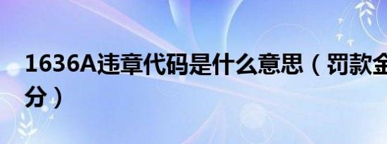 1636A违章代码是什么意思（罚款金额 扣几分）