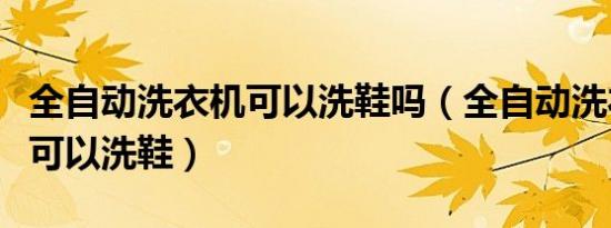 全自动洗衣机可以洗鞋吗（全自动洗衣机可不可以洗鞋）