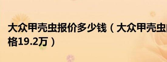 大众甲壳虫报价多少钱（大众甲壳虫的落地价格19.2万）