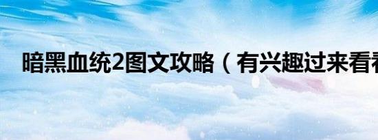 暗黑血统2图文攻略（有兴趣过来看看吧）