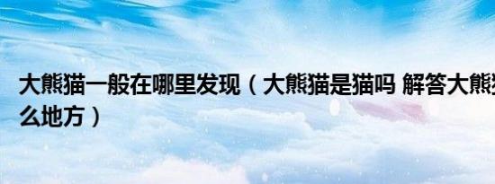 大熊猫一般在哪里发现（大熊猫是猫吗 解答大熊猫生活在什么地方）