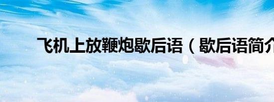 飞机上放鞭炮歇后语（歇后语简介）