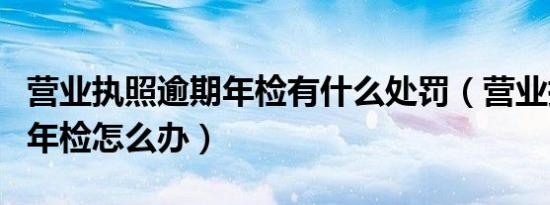 营业执照逾期年检有什么处罚（营业执照逾期年检怎么办）