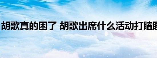 胡歌真的困了 胡歌出席什么活动打瞌睡（图）