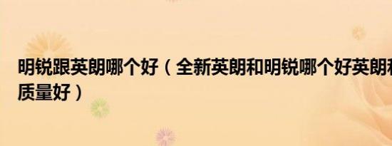 明锐跟英朗哪个好（全新英朗和明锐哪个好英朗和明锐哪个质量好）