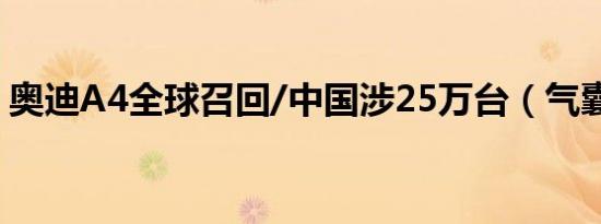奥迪A4全球召回/中国涉25万台（气囊隐患）