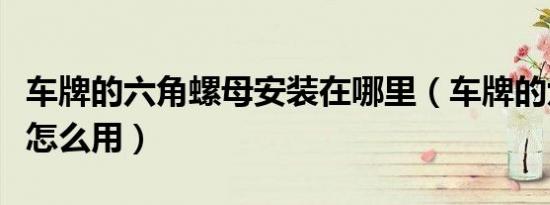 车牌的六角螺母安装在哪里（车牌的六角螺母怎么用）