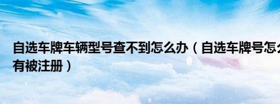自选车牌车辆型号查不到怎么办（自选车牌号怎么查询有没有被注册）
