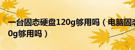 一台固态硬盘120g够用吗（电脑固态硬盘120g够用吗）