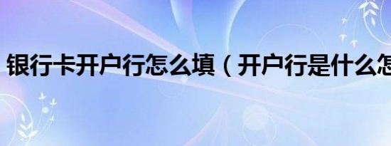 银行卡开户行怎么填（开户行是什么怎么填）