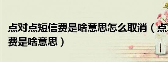 点对点短信费是啥意思怎么取消（点对点短信费是啥意思）