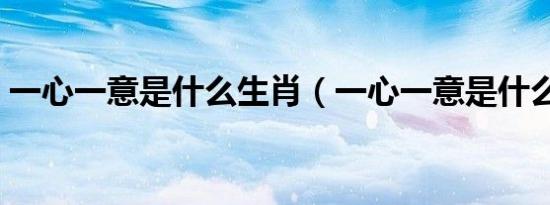 一心一意是什么生肖（一心一意是什么生肖）