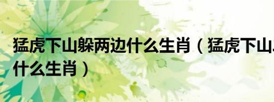 猛虎下山躲两边什么生肖（猛虎下山二十开是什么生肖）