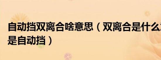 自动挡双离合啥意思（双离合是什么意思是不是自动挡）