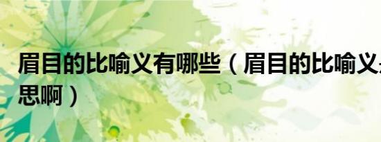 眉目的比喻义有哪些（眉目的比喻义是什么意思啊）