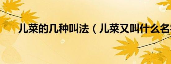 儿菜的几种叫法（儿菜又叫什么名字）