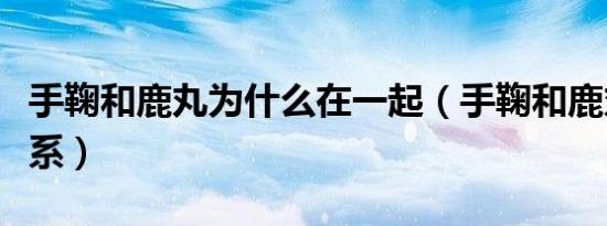 手鞠和鹿丸为什么在一起（手鞠和鹿丸什么关系）