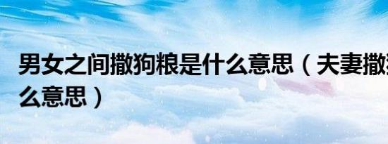 男女之间撒狗粮是什么意思（夫妻撒狗粮是什么意思）