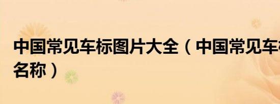 中国常见车标图片大全（中国常见车标图片及名称）