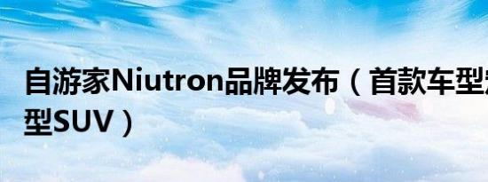 自游家Niutron品牌发布（首款车型定位中大型SUV）